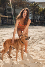 Laden Sie das Bild in den Galerie-Viewer, Image 14: Rio De Sol Unterteil Bottom Maracai Essential
